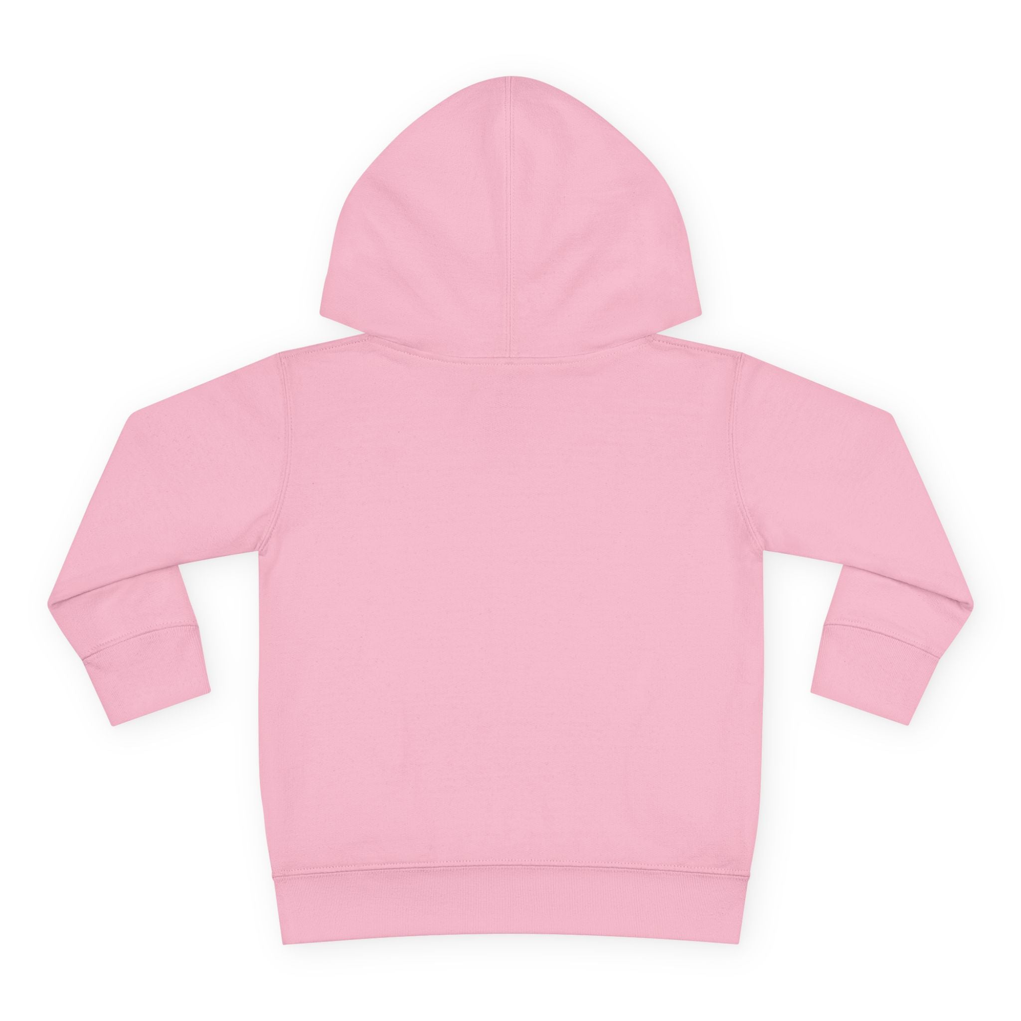 Chanel Signature Toddler Hoodie