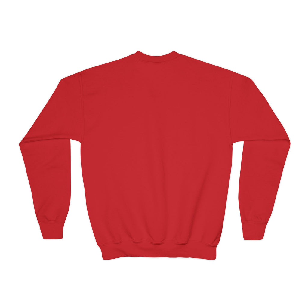 Heart Breaker Youth Sweatshirt