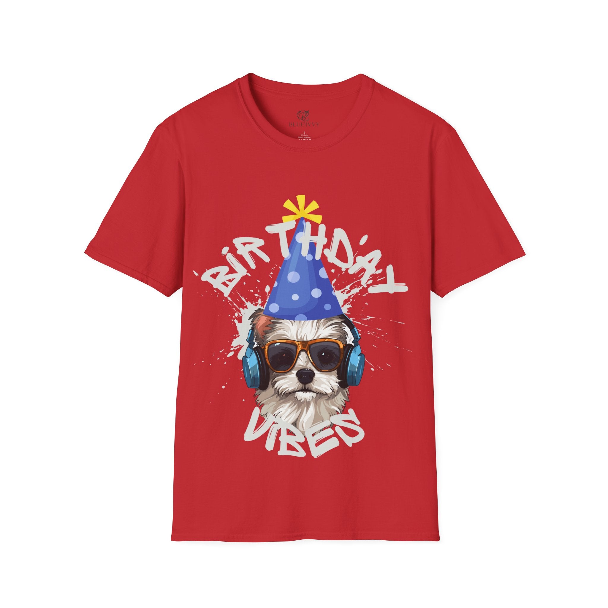 Birthday Vibes Tee