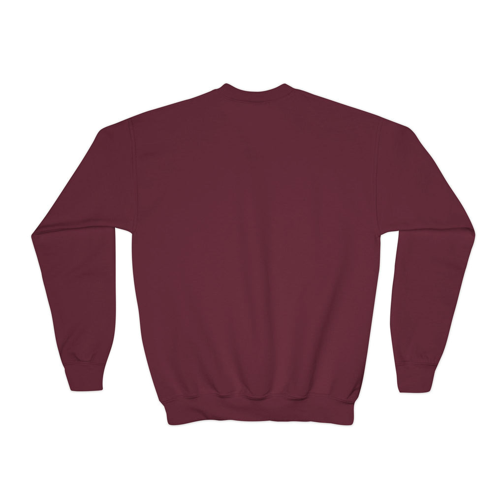 Heart Breaker Youth Sweatshirt